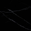 Плитка Asia Pacific Nero Marquina Black High Polished 60х60 см 2
