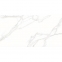 Керамогранит Stevol Staturio calacatta 60х120 см (T61295) 0