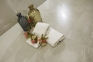 Плитка Azteca Passion Lux Champagne 60х120 см 5