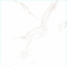 Плитка Stevol Carrara GR матовая 59,5x59,5 см 9