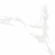 Плитка Asia Pacific Statuario Eva Polished 60х60 см 10