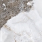 Плитка Asia Pacific Livantra Natural Polished 60х60 см 2