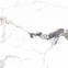 Плитка Asia Pacific Dragon Natural (Statuario Isbella) Polished 60х60 см 5