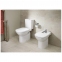 Компакт с крышкой ROCA Debba soft-close A34P998000 2