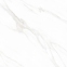 Плитка Sakar Granito 1199 Polished 60х60 см 2