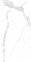 Плитка Asia Pacific Statuario Freak Polished 60х120 см 5