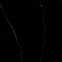 Плитка Asia Pacific Nero Marquina Black High Polished 60х60 см 5