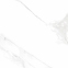 Плитка Asia Pacific Statuario Eva Polished 60х60 см 5
