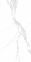 Плитка Asia Pacific Statuario Freak Polished 60х120 см 2