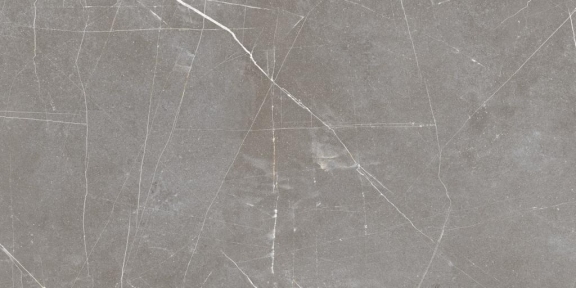 Плитка Stevol Status Gris MYR матовая 600х1200х9 мм