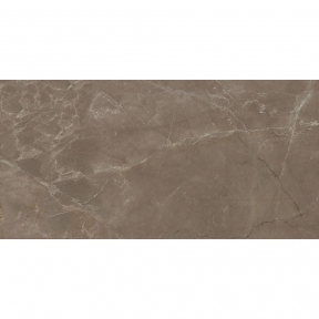 Керамогранит Stevol Pulpis brown 60х120 см (PD1621204P)