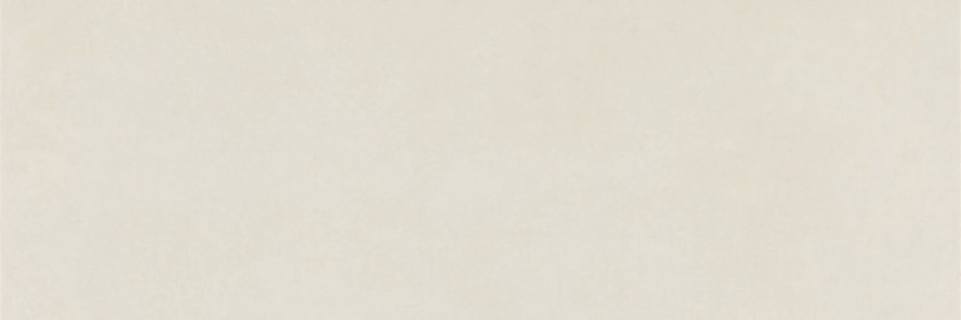 Плитка Prissmacer Type White 30х90 см