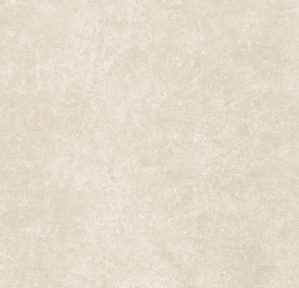 Плитка Prissmacer Ess. Plock Blanco 60,8х60,8 см