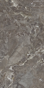 Плитка Allore Group Snake stone Bronze Mat 120х60 см