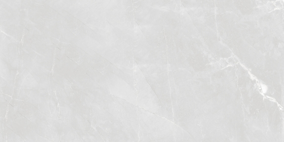 Плитка Asia Pacific Armani Silver Polished 60х120 см