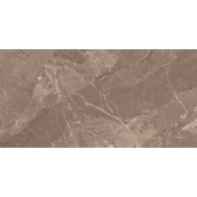 Керамогранитная плитка Stevol Turkey brown 40х80 см (CT48065P)