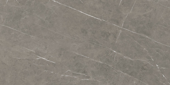 Плитка Stevol Tessino Grey Natural матовая 60х120 см