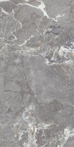 Плитка Allore Group Snake stone Grey Mat 120х60 см