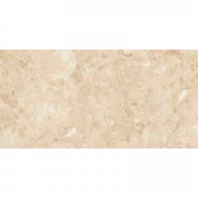 Керамогранитная плитка Stevol Marble 40х80 см (CT48014P)