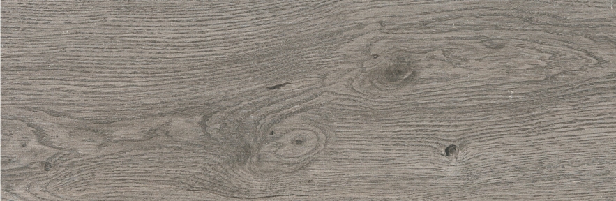 Плитка Prissmacer Ess. Tree Gris 20х120 см