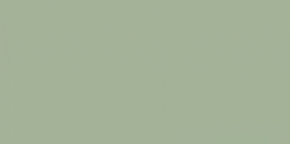 Керамическая плитка Paradyz Feelings Green Sciana Rekt. G1 29,8х59,8 см