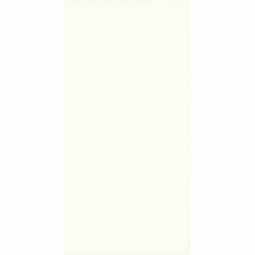Настенная плитка Paradyz Moonlight Bianco 295х595 мм (1179552)