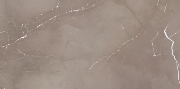 Плитка Azteca Passion Lux Taupe 60х120 см