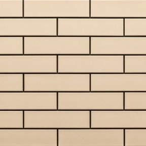 Фасадна плитка Cerrad krem гладка 245х65х6,5 мм