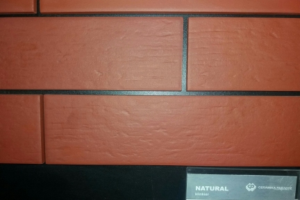Фасадная плитка клинкерная Paradyz NATURAL ROSA DURO 24,5x6,6 см