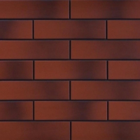 Фасадная плитка Cerrad Rot с оттенком гладкая 245х65х6,5 мм