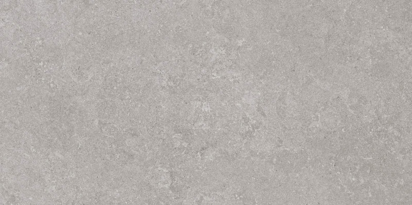 Плитка Stevol Kalk Gris Rec. Matt 600x1200х10 мм