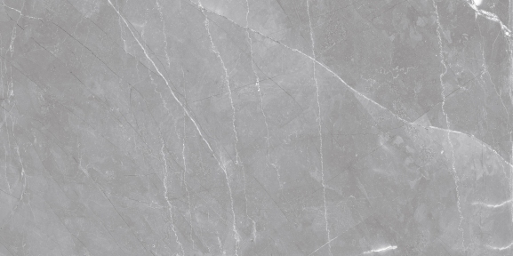 Плитка Asia Pacific Armani Platinum Polished 60х120 см