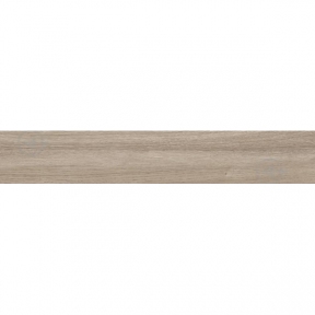 Плитка Teo Ceramics Natura Dark Beige F PR R Mat 198х1200х8 мм