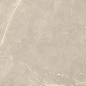 Плитка PARADYZ Ritual Taupe RECT 598x598x8 мм