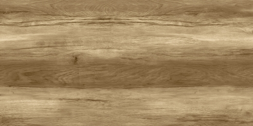 Плитка Stevol SP61211 Wooden 60х120 см