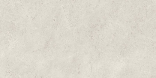 Керамическая плитка Paradyz Afternoon Silver Sciana Rekt. G1 29,8х59,8 см