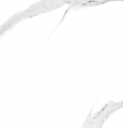 Плитка Cerama Market Absolute Carrara 60х60 см
