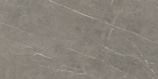 Плитка Stevol Tessino Grey Natural матовая 60х120 см