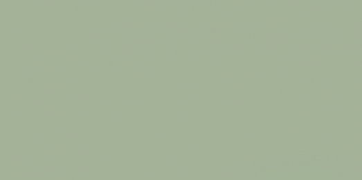 Керамическая плитка Paradyz Feelings Green Sciana Rekt. G1 29,8х59,8 см