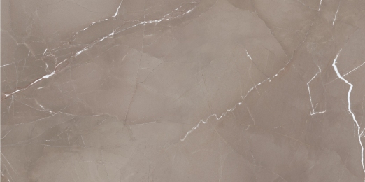 Плитка Azteca Passion Lux Taupe 60х120 см