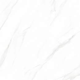 Плитка Sakar Granito 1199 Polished 60х60 см