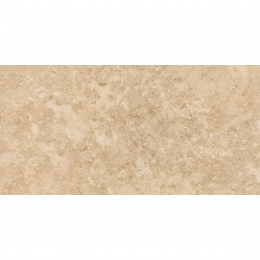 Керамогранитная плитка Stevol Matt biege 40х80 см (W4814AWC-B)