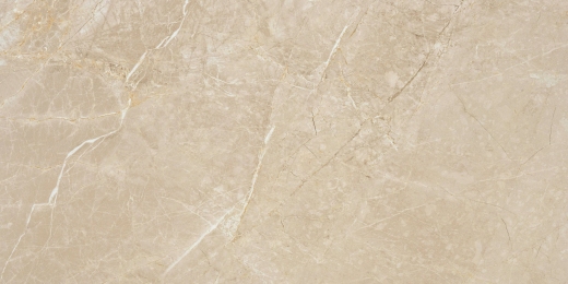 Плитка STN Ceramica Syrah Ivory Pul. Rect. 59х119 см