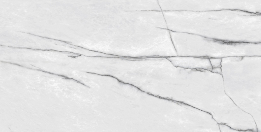 Плитка Cerama Market EBONA WHITE CARVING 60х120 см