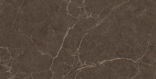 Плитка CERAMICA DESEO VENICE MARRONE EC729 9х1200х600 мм