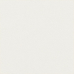 Плитка для пола Paradyz Modern Bianco Taco Mat 48х48 мм