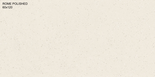 Плитка Cerama Market Rome Polished 60х120 см