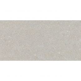 Керамогранитная плитка Stevol Stone lapatto light grey 40х80 см (W4817AII-B)