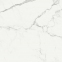 Плитка Stevol Calacatta Venato матовая 59,5x59,5 см