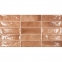 Плитка Ceramica Deseo EC.Pool Cotto 9х600х316 мм